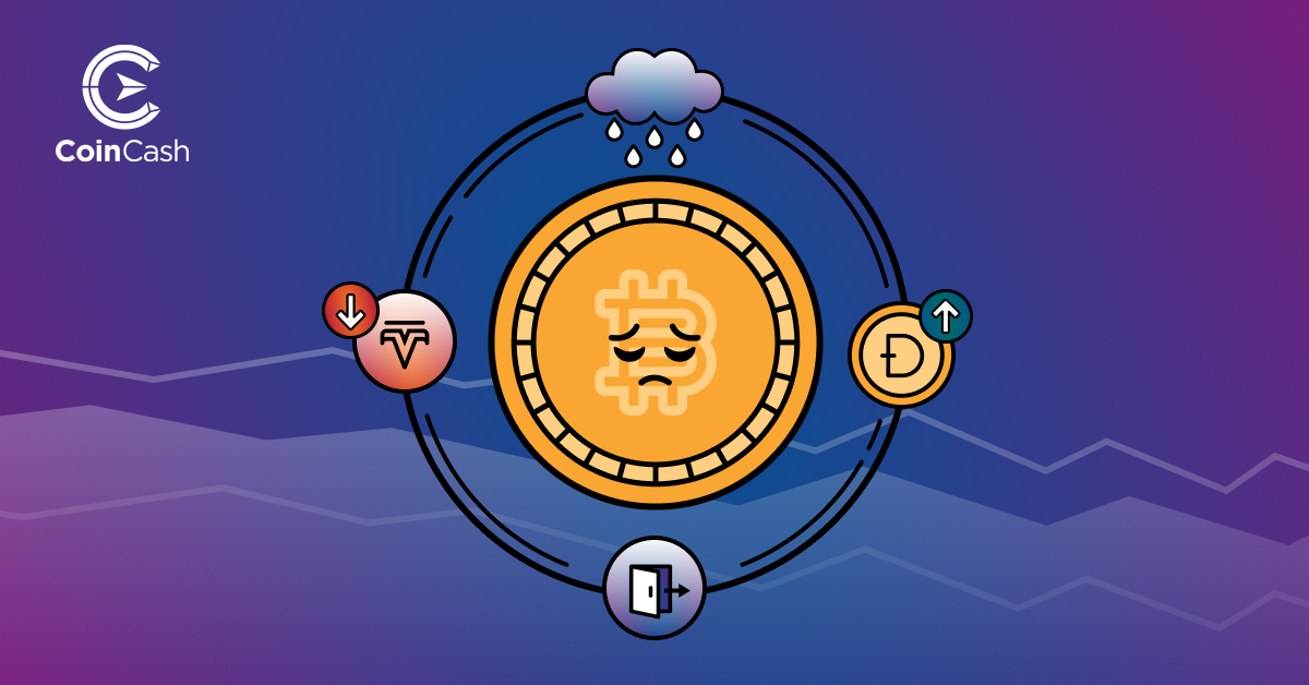Bitcoin Hodler hírösszefoglaló - 17. hét